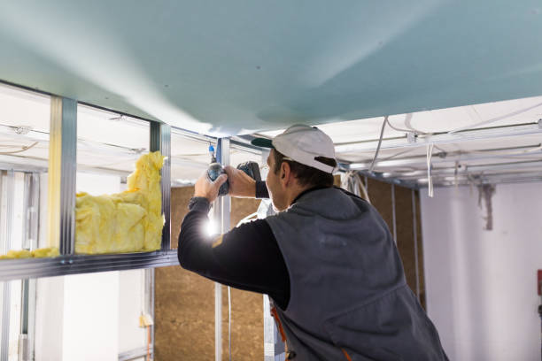 Best Insulation Maintenance and Repair in Yutan, NE